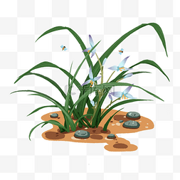 花盆栽植物图片_开花的兰花盆栽植物免抠元素