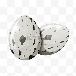 鹌鹑蛋PNG图片_美味的食材鹌鹑蛋插画