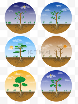 植物树木土层断面剖面天空