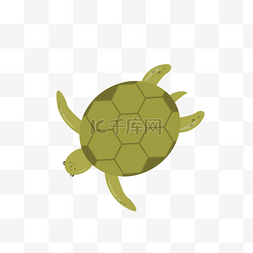卡通乌龟设计