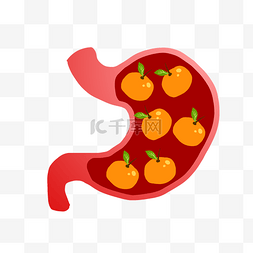 装满橘子的胃插画