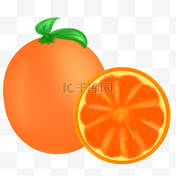 矢量手绘橙子背景素材
