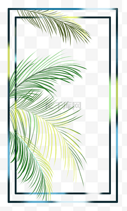 夏威夷棕榈树边框