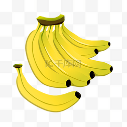 水果黄色的香蕉 