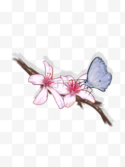 手绘树枝与花图片_手绘花枝与蝴蝶透明底可商用素材