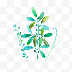 手绘植物绿色叶子树枝图片_手绘水彩植物花草