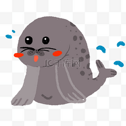海洋水生物海豹插画