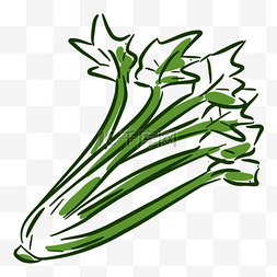 蔬菜手绘线条图片_手绘线性绿色蔬菜青菜一