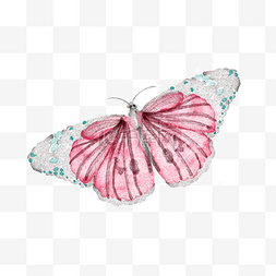 手绘水彩红色蝴蝶