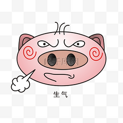 猪三毛表情包生气