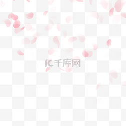 北京大学logo图片_花瓣飞舞