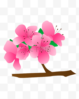 矢量手绘粉色花朵图片_矢量免扣卡通花朵