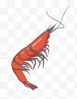 美味虾图片_手绘海鲜红虾插画