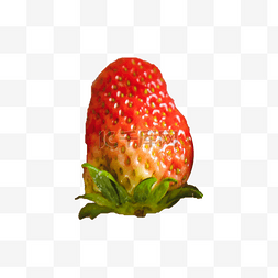 新鲜的草莓图片_一个新鲜的草莓png
