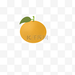 黄色桔梗图片_一个橙子