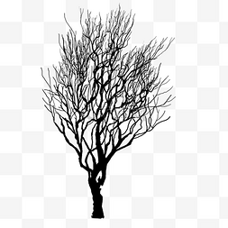 黑色枝干图片_黑色简约手绘枯树枝