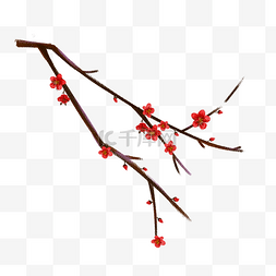 一枝鲜艳的红梅花枝插画
