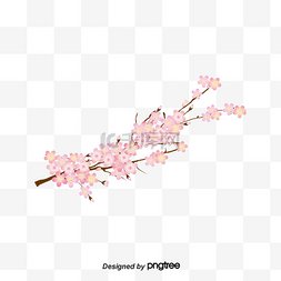 手绘春季樱花插画