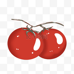植物番茄图片_番茄蔬菜红色