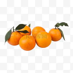 许多橙子（png免抠）