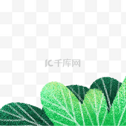 叶脉树叶图片_绿色植物树叶元素