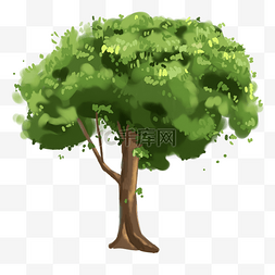 茂盛的绿色树木图片_茂盛的绿色树木插画
