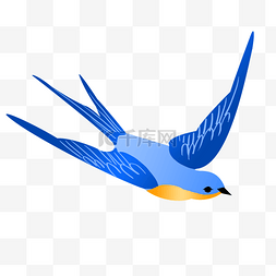 手绘飞翔的燕子图片_蓝色飞翔的燕子插画