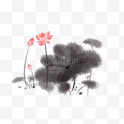 黑色中国风花图片_手绘漂亮的莲花插画