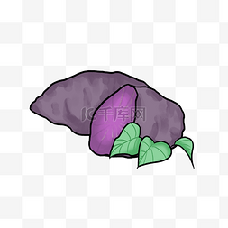 农作物紫薯手绘插画