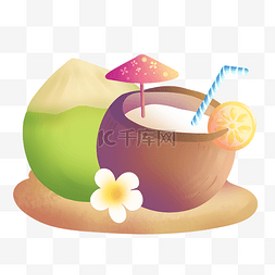 椰子椰果水果插画