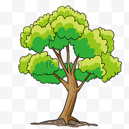 卡通绿色大树插画图片_植树节绿色树木插画