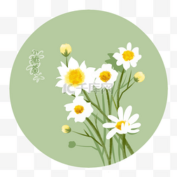 绿色小雏菊图片_卡通插画春季小雏菊