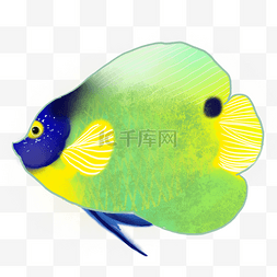 彩色水墨海鱼