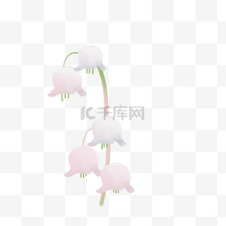 浅白铃兰花朵