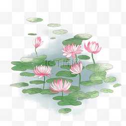 中国风荷叶荷花图片_植物系列莲花手绘插画