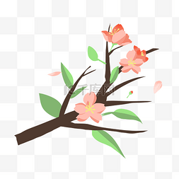 粉色樱花树枝插画