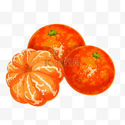 橘子插画插画图片_卡通插画橘子