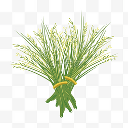 麦子绿色图片_手绘矢量绿色麦穗
