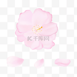 樱花樱花节图片_卡通质感粉红色的樱花花瓣