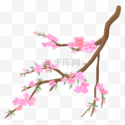 桃花中国风海报图片_卡通手绘植物插画梅花