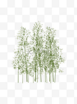 手绘风简约图片_扁平简约手绘风绿色植物竹子竹林