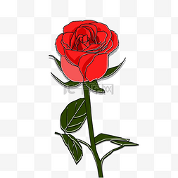 浪漫红色玫瑰花花朵花卉