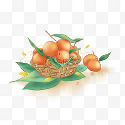 橘子png图片_立秋丰收一篮子橘子