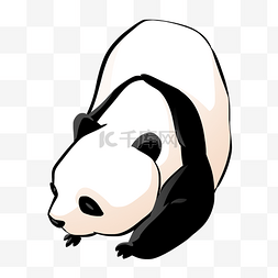 国家保护图片_国家保护动物大熊猫插画