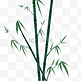 水彩绿色的竹子插画
