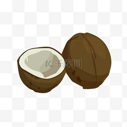切开的椰子图片_切开的椰子水果插画