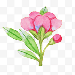 花朵手绘花朵图片图片_手绘春季樱花