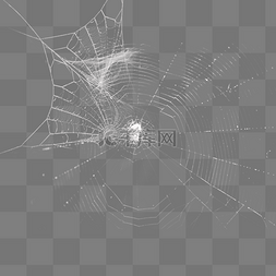 巨型蜘蛛图片_残缺的蜘蛛网设计效果