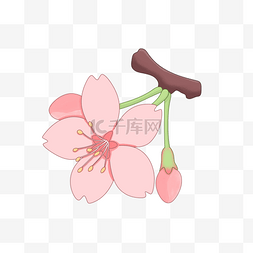 淡粉色粉色图片_樱花之粉色系樱花花朵免抠素材