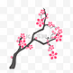 一枝樱花矢量图片